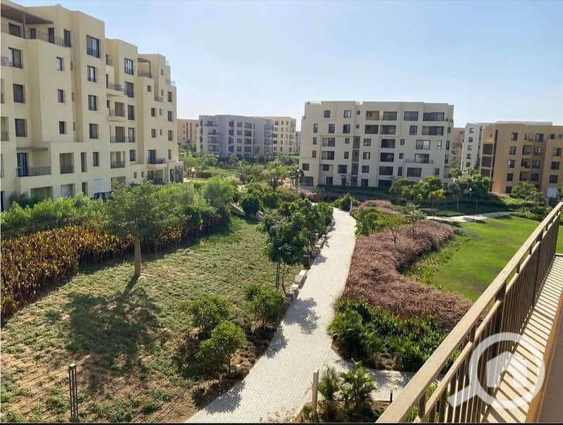 10 559027968_1706563300042822_2661263615727894663_n - Copy - Copy. jpg