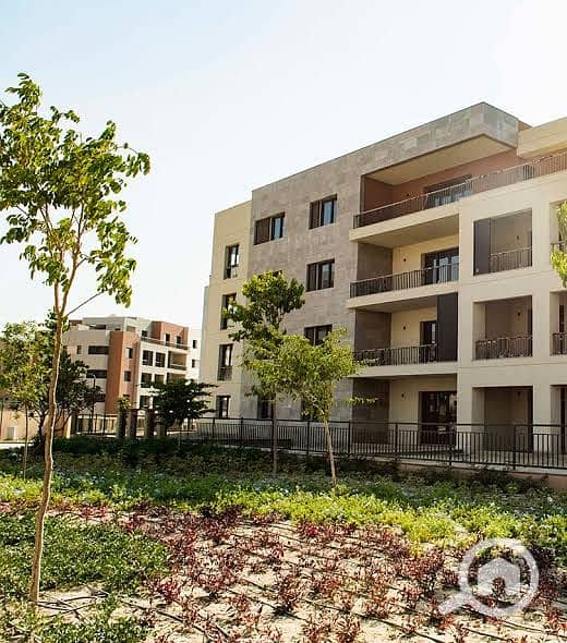 4 IMG-20251216-WA0195. jpg