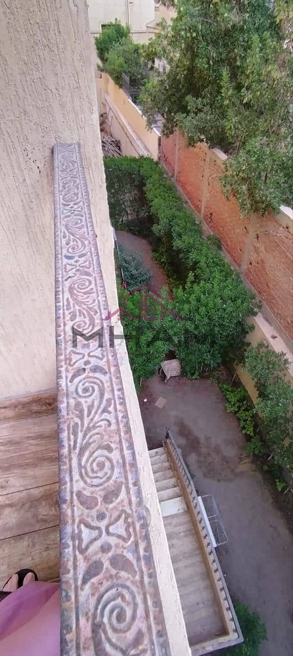 3 5909163985100016683. jpg