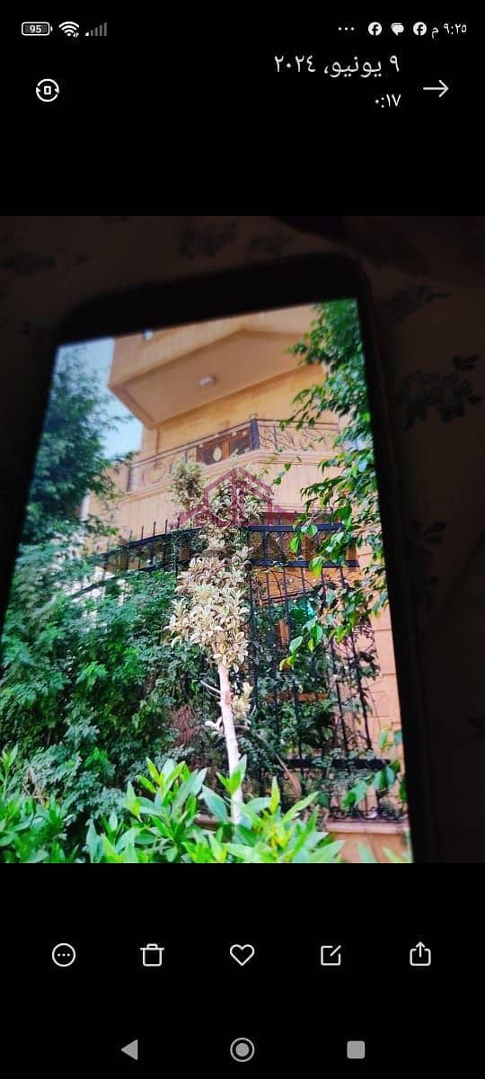 21 5909163985100016690. jpg