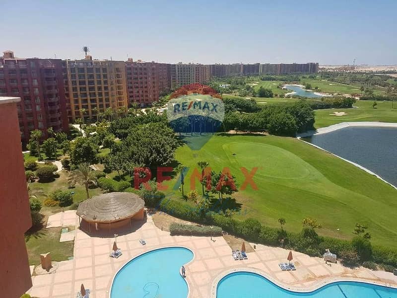 4 571109951_1134829462161746_8371167915895624554_n. jpg