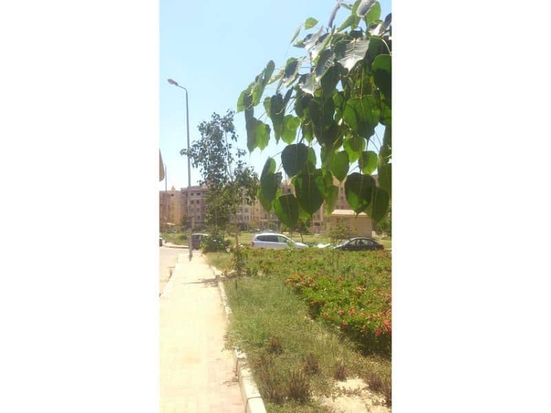 3 WhatsApp Image 2025-12-16 at 15.13. 50_71fd0352. jpg