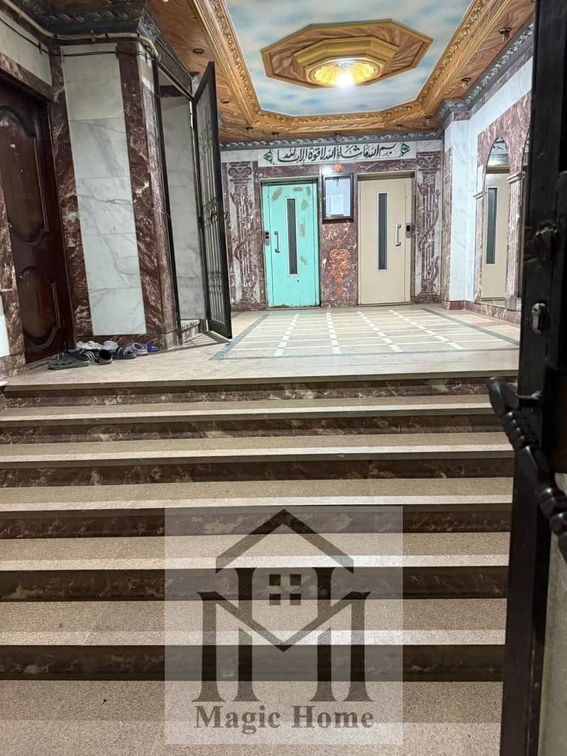 4 f96a1236-b496-4408-a8e0-fa140e611d01. jpg