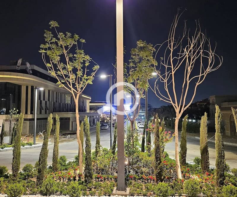 4 WhatsApp Image 2025-12-16 at 3.54. 35 PM. jpeg