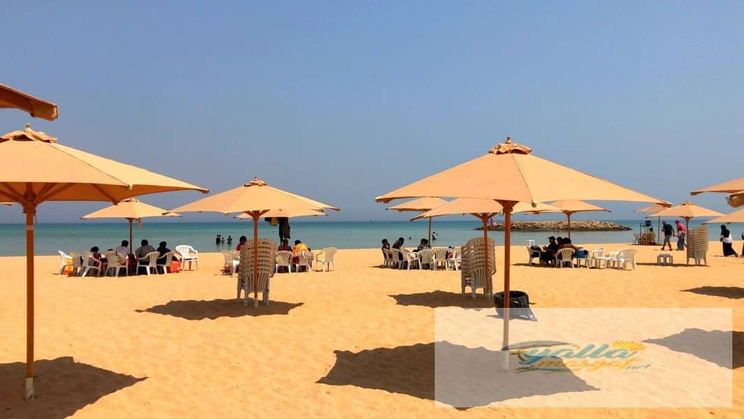 2 693edda0d91da_WhatsApp-Image-2025-12-14-at-3.18. 34-AM. jpeg