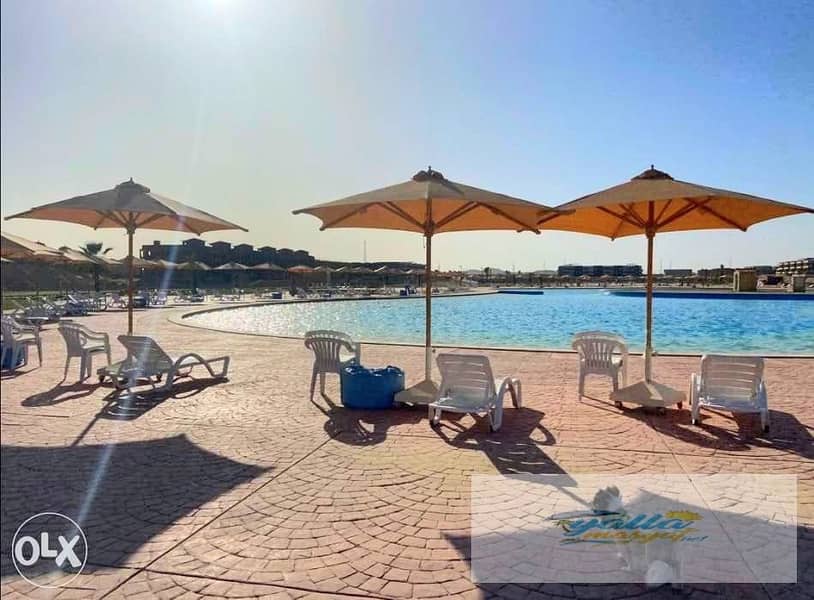 15 693edd9bd86c0_WhatsApp-Image-2025-12-14-at-3.18. 22-AM-(2). jpeg