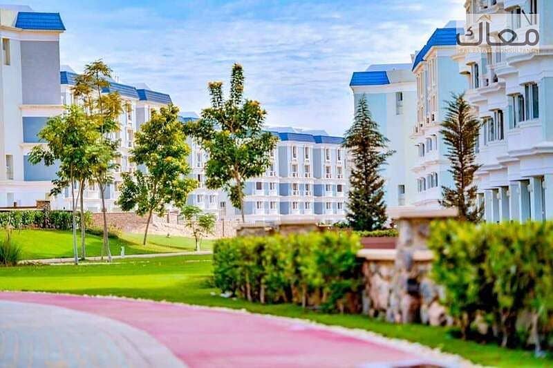 8 163c73e9-fb97-4b31-8bc4-1e016ed57494. jpg