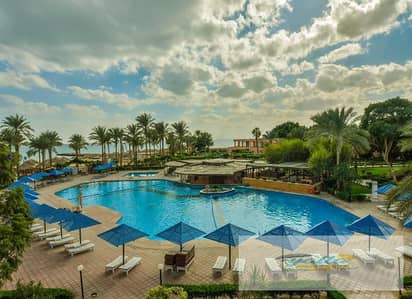 شاليه 3 غرف نوم للبيع في العين السخنة، السويس - 693edc499eb2c_WhatsApp-Image-2025-12-14-at-4.25. 22-PM. jpeg شاليه 3 غرف نوم للبيع في العين السخنة، السويس - 693edc499eb2c_WhatsApp-Image-2025-12-14-at-4.25. 22-PM. jpeg