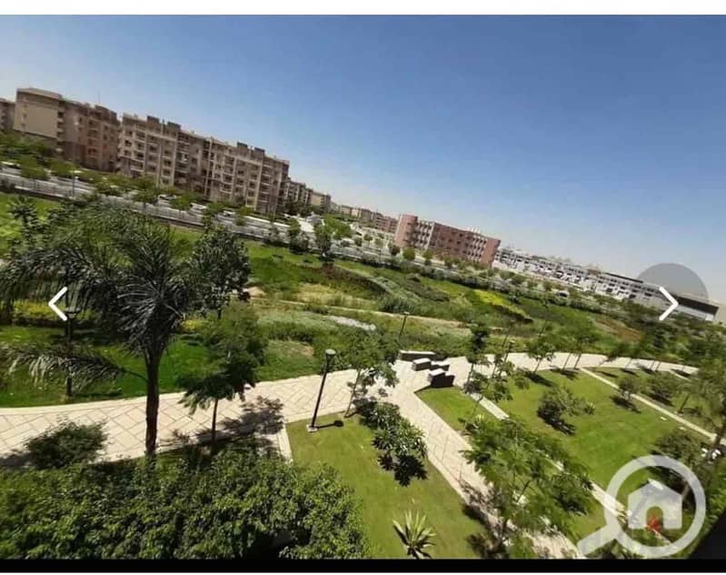 5 97689c34-54e3-414a-9c6c-a1acf10452c6. jpg