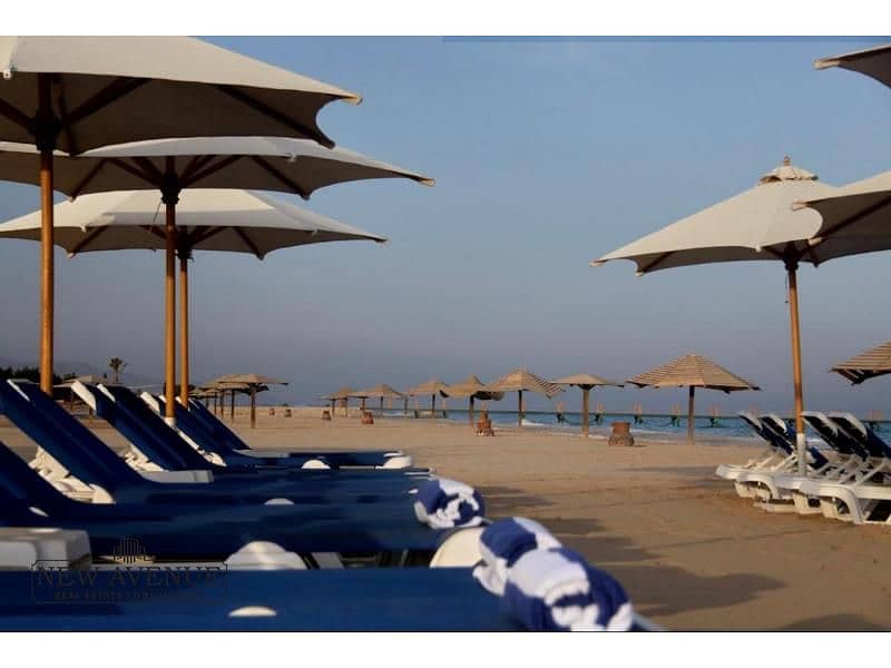 6 WhatsApp Image 2025-11-09 at 3.00. 06 PM. jpg