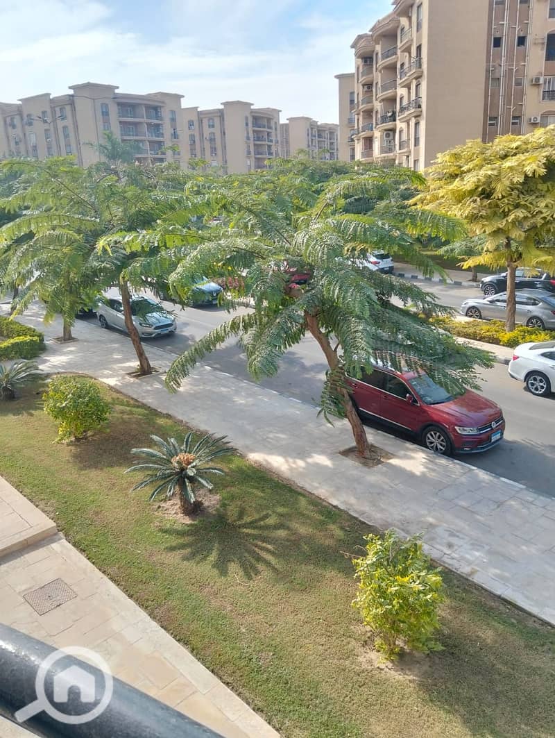 10 df02832b-f15a-4802-bedf-e2e90211ebeb. jpeg