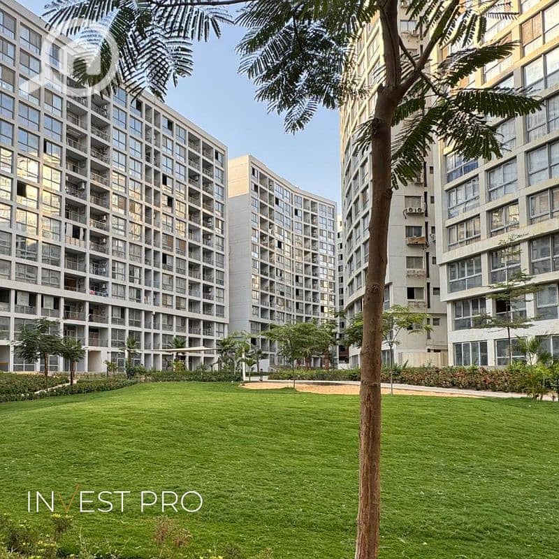 3 oneresize (42). jpg