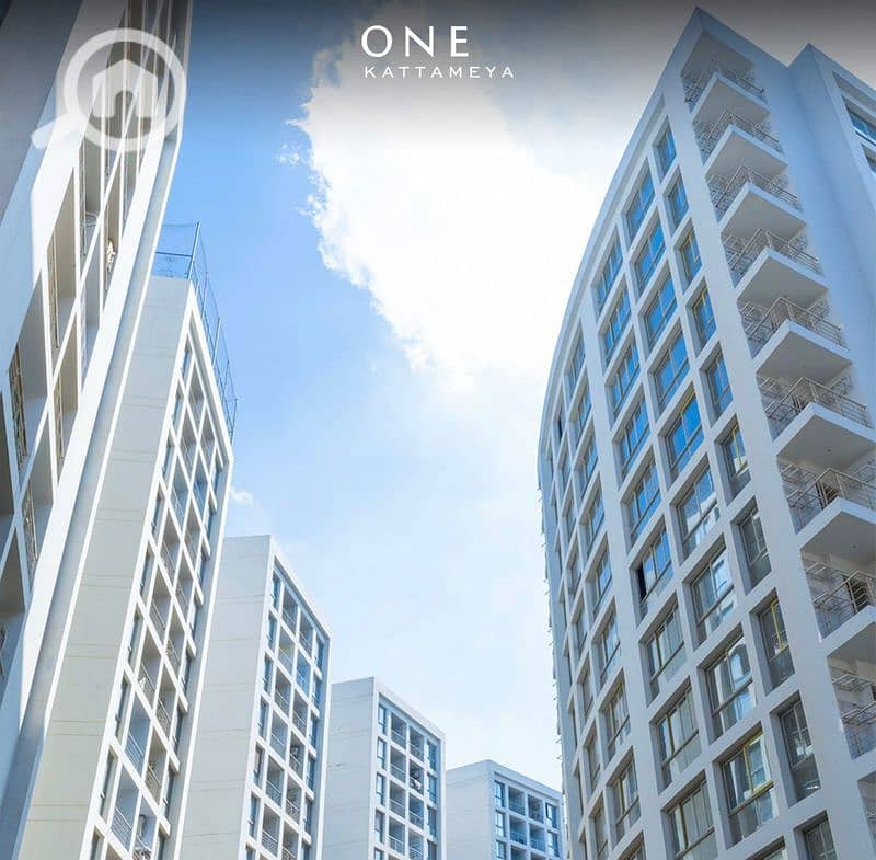 11 oneresize (31). jpg