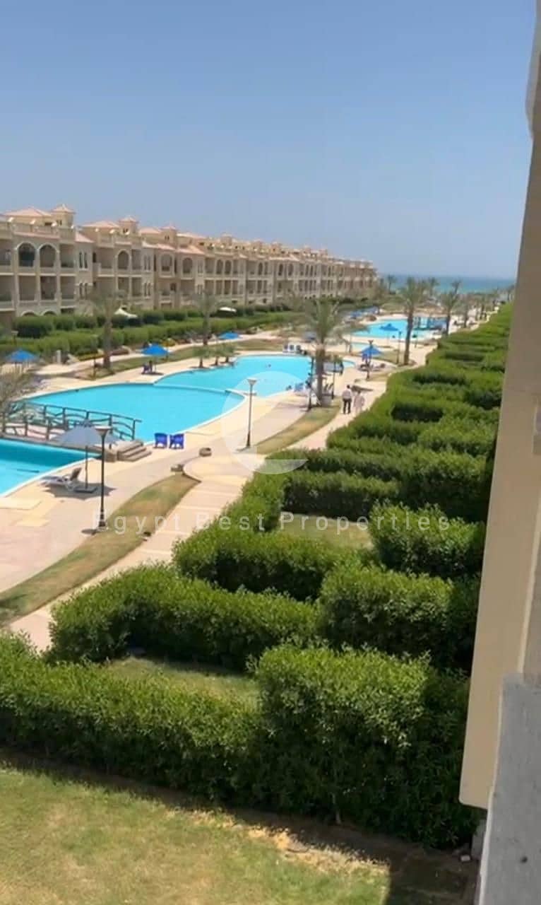 3 96e96167-a811-4b27-93e1-d4ccf542c6d2. jpeg