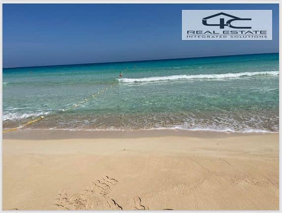 4 Screenshot (363). png