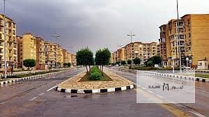 6 download (59). jpg