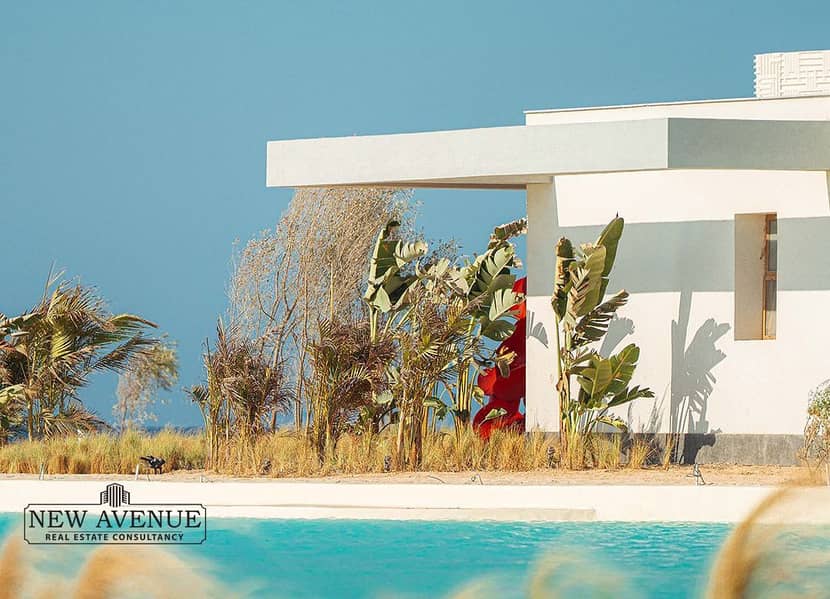 3 WhatsApp Image 2025-12-16 at 2.55. 25 PM (2). jpeg