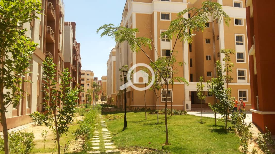 3 WhatsApp Image 2025-12-16 at 5.00. 31 PM (1). jpeg