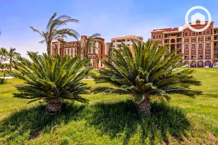 6 WhatsApp Image 2025-12-16 at 5.00. 30 PM. jpeg