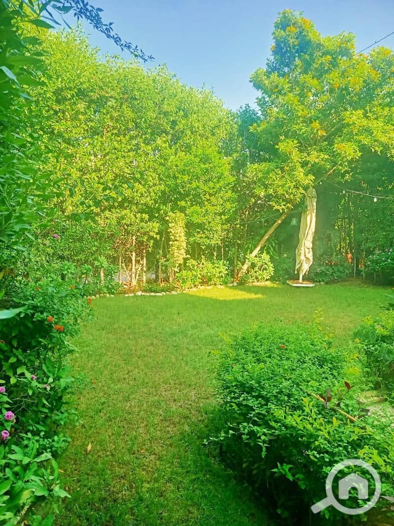 16 photo_5893001559308700592_y. jpg