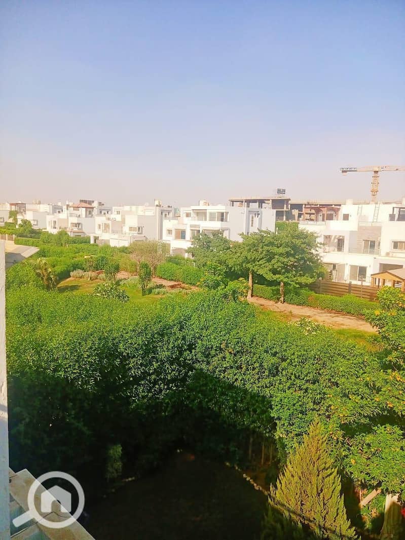 23 photo_5893001559308700597_y. jpg