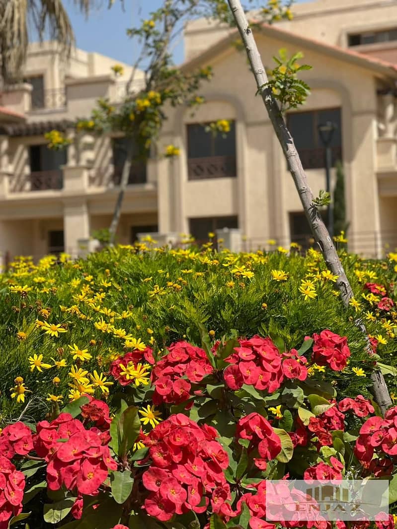 13 68f06435-6de0-4e8c-9395-c3ebd3f1f068. jpg