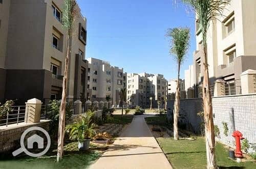 5 medium_20_big. jpg