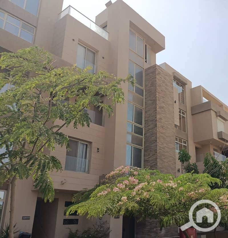 3 WhatsApp Image 2025-07-30 at 15.41. 00_e17641ee. jpg