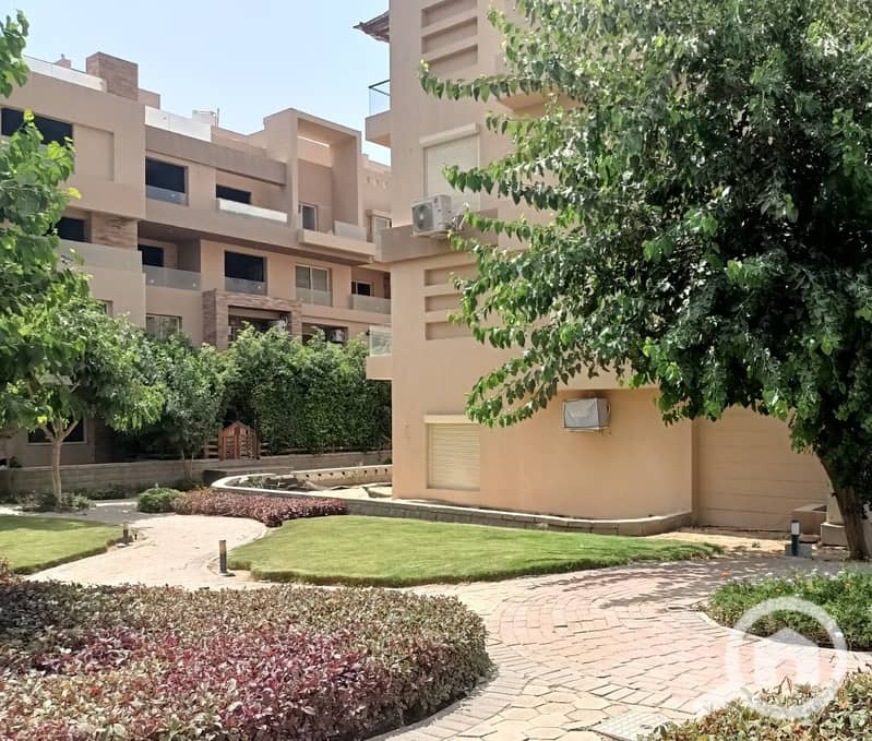 4 WhatsApp Image 2025-07-30 at 15.41. 01_4c13209d. jpg