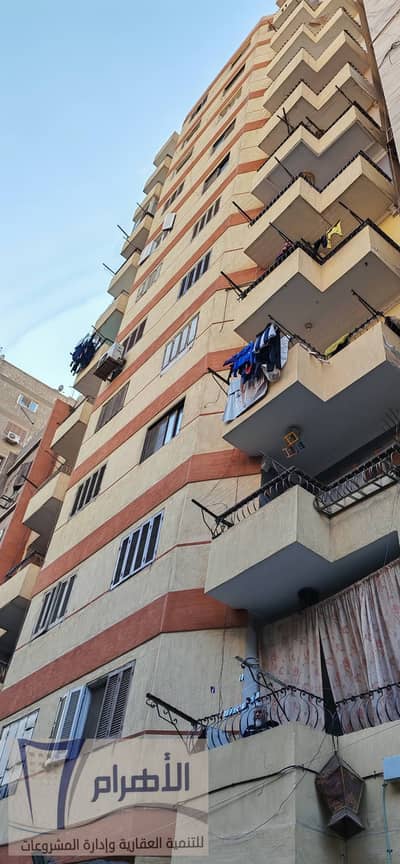 فلیٹ 4 غرف نوم للبيع في ترسا، الجيزة - 601423848_1166395788971954_6139382209644709334_n. jpg