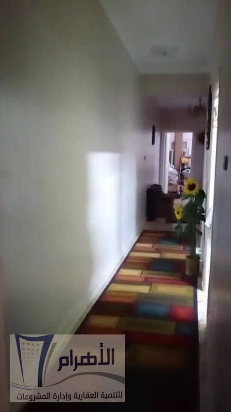 4 601387046_1166396022305264_3879578134109919371_n. jpg