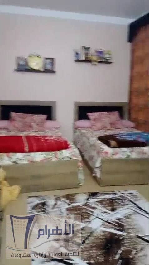 7 601347678_1166396055638594_2867896671664025857_n. jpg