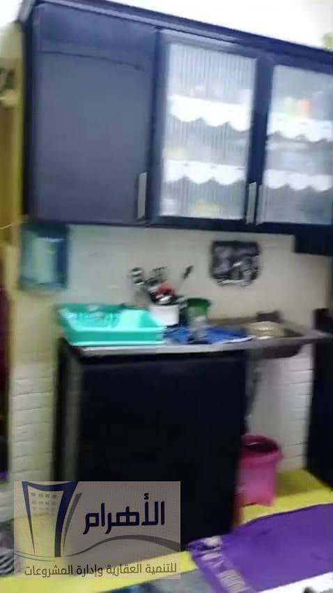 8 600972106_1166396308971902_8424406371316563557_n. jpg