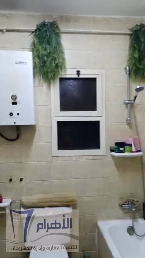 11 600957263_1166396122305254_5088822057562832370_n. jpg