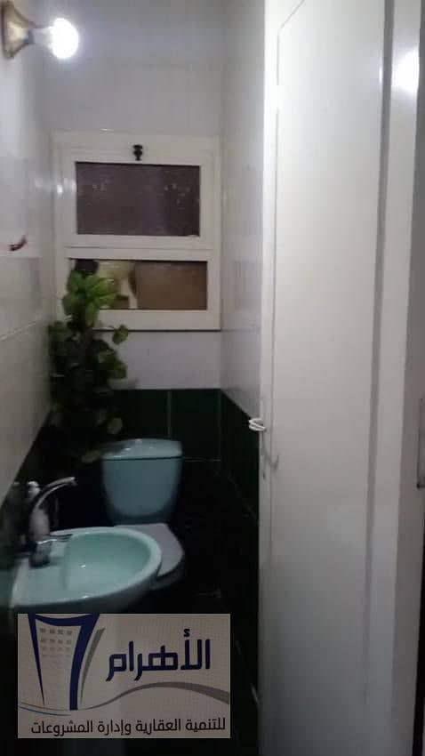 12 601019820_1166396178971915_2700590756209151857_n. jpg