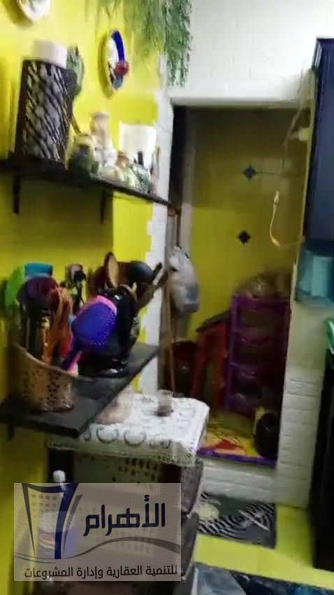 13 601010376_1166396285638571_2343380286199884640_n. jpg