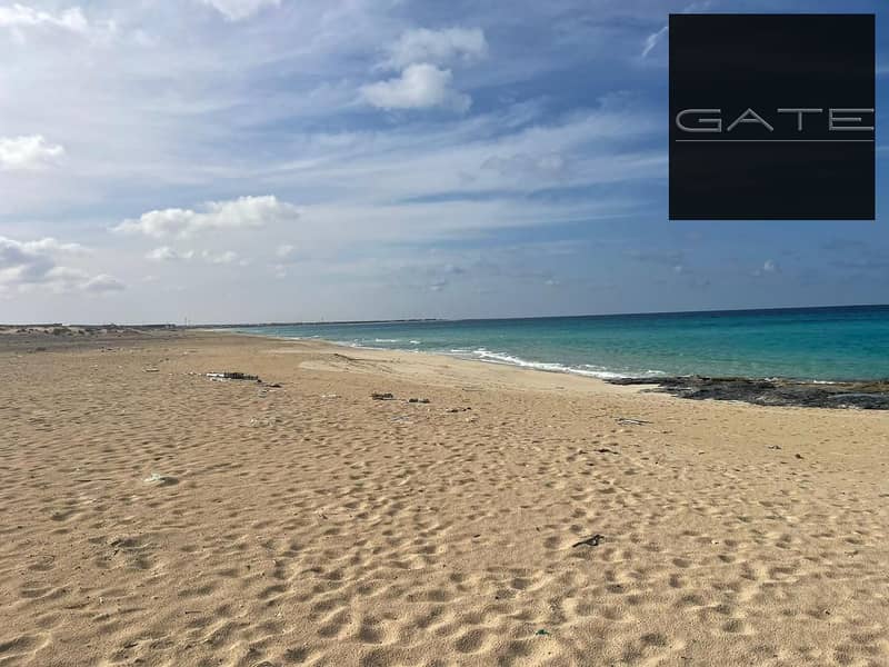 2 WhatsApp Image 2025-12-16 at 5.28. 45 PM. jpeg