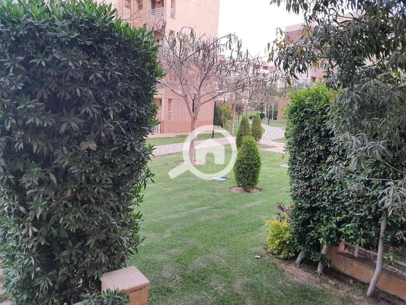 2 0987d162-27de-4dae-99d7-15a95571145e. jpg