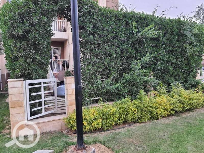 9 f7e82f0c-af10-4873-9c46-65a7a31a3ce6. jpg