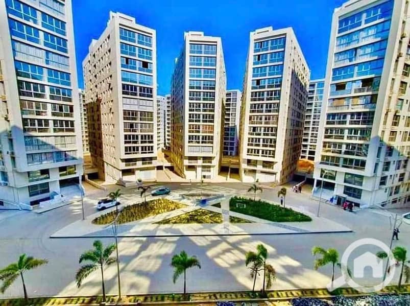 5 one kattameya                                                                                                                                                                . jpg