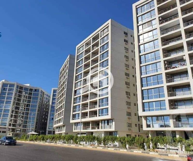 6 one kattameya                                                                                                                                                       . jpg