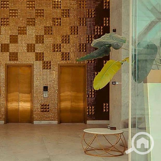 10 one kattameya                                                                                  . jpg