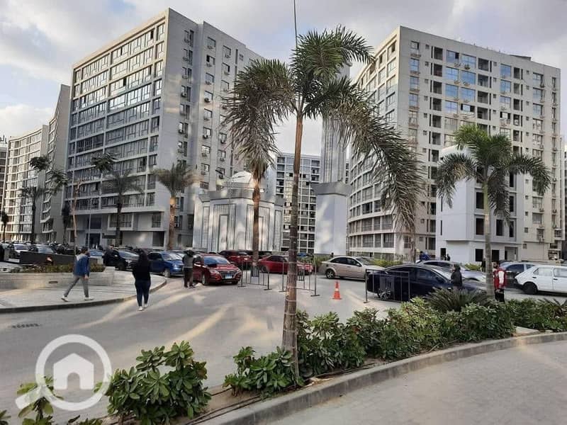 13 one kattameya                          . jpg