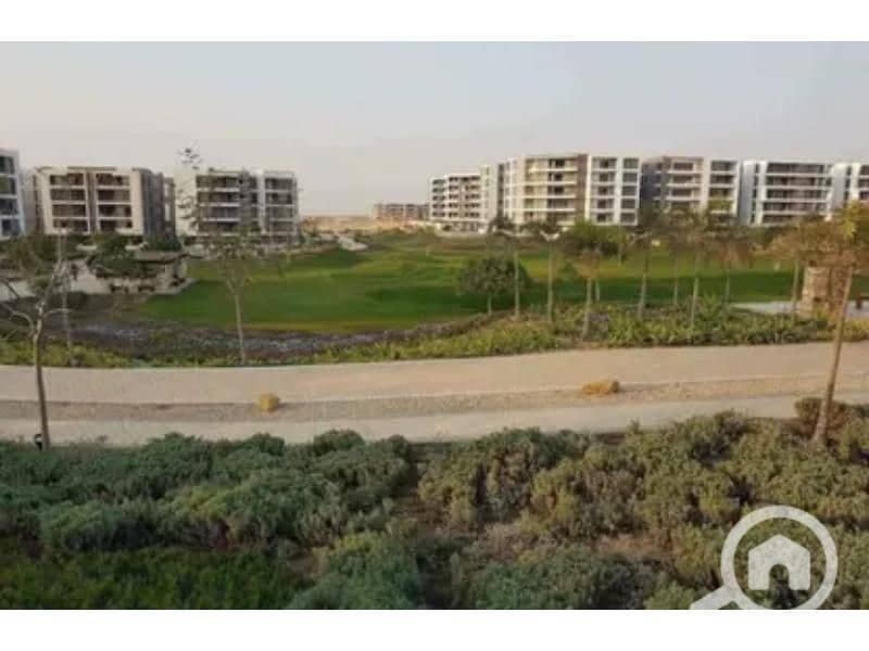 8 8418588-cc4f5o. jpg