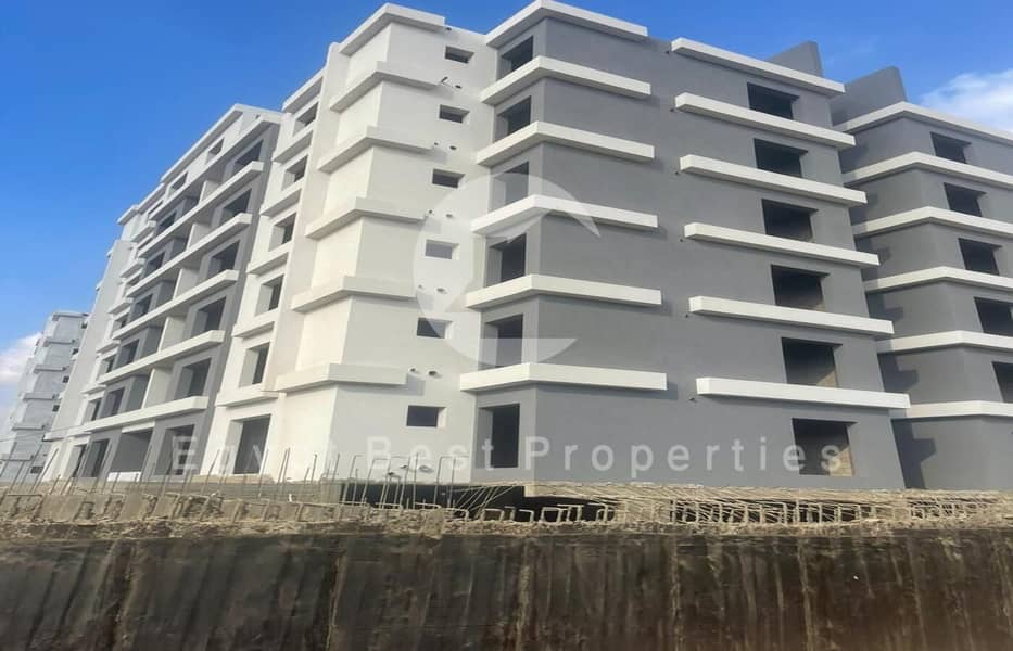 2 WhatsApp Image 2024-12-09 at 16.43. 42_965eb51a. jpg