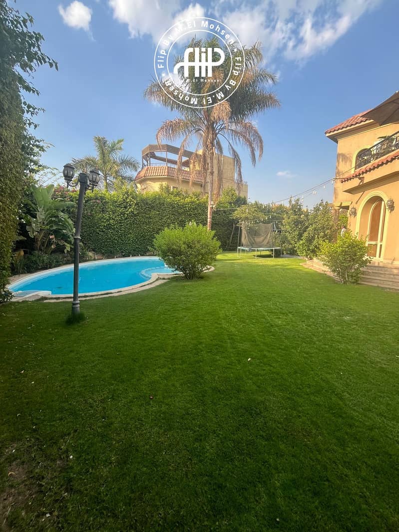 11 IMG-20250602-WA0405. jpg