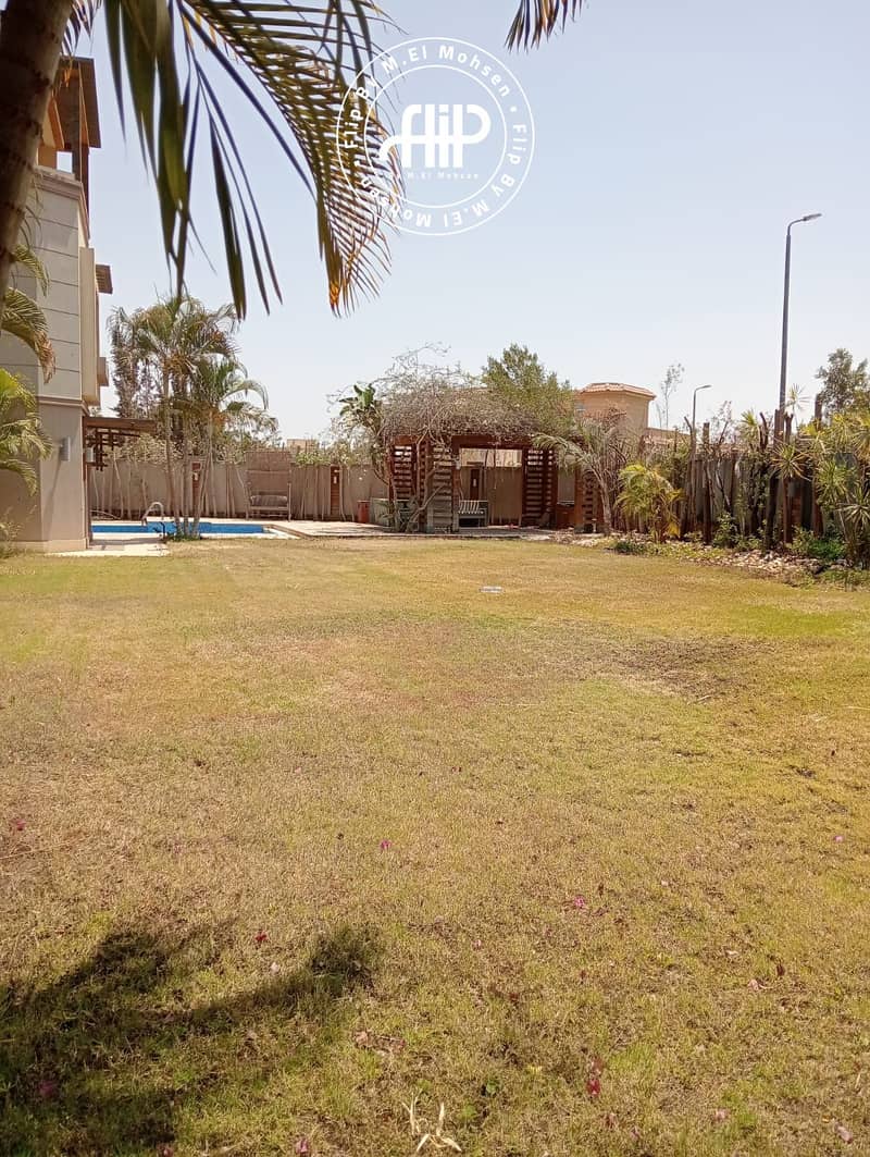 7 IMG-20250804-WA0007. jpg