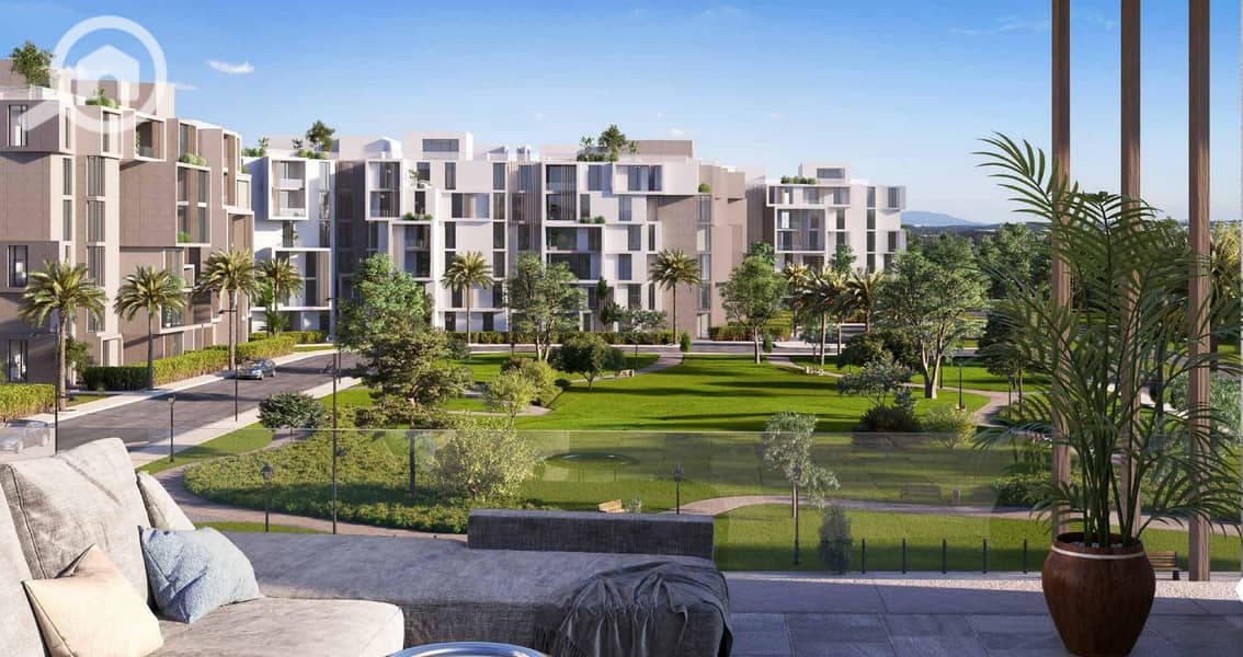 3 tagamoa-cairo-scaled. jpg