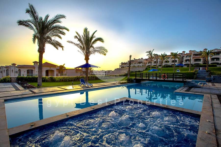 037b9c2f-f407-4f18-8000-d81b63fbc134. jpeg 037b9c2f-f407-4f18-8000-d81b63fbc134. jpeg