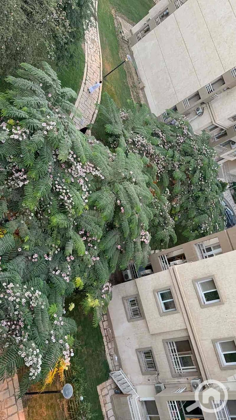 8 6990aef0-b00b-40a5-817e-cf0915be528d. jpg